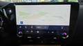 Lexus NX 300h 450h+ Executive 4WD Verde - thumbnail 11