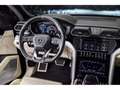 Lamborghini Urus V8 - NERO HELENE / BIANCO POLAR Noir - thumbnail 24