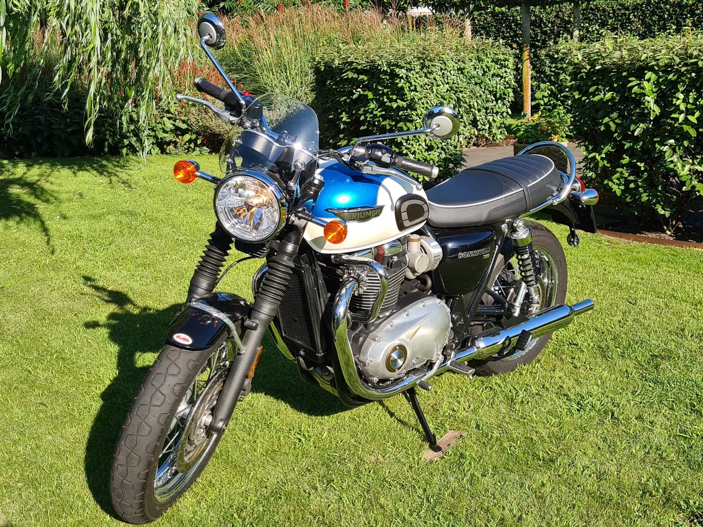 Triumph Bonneville T120 Blanc - 1