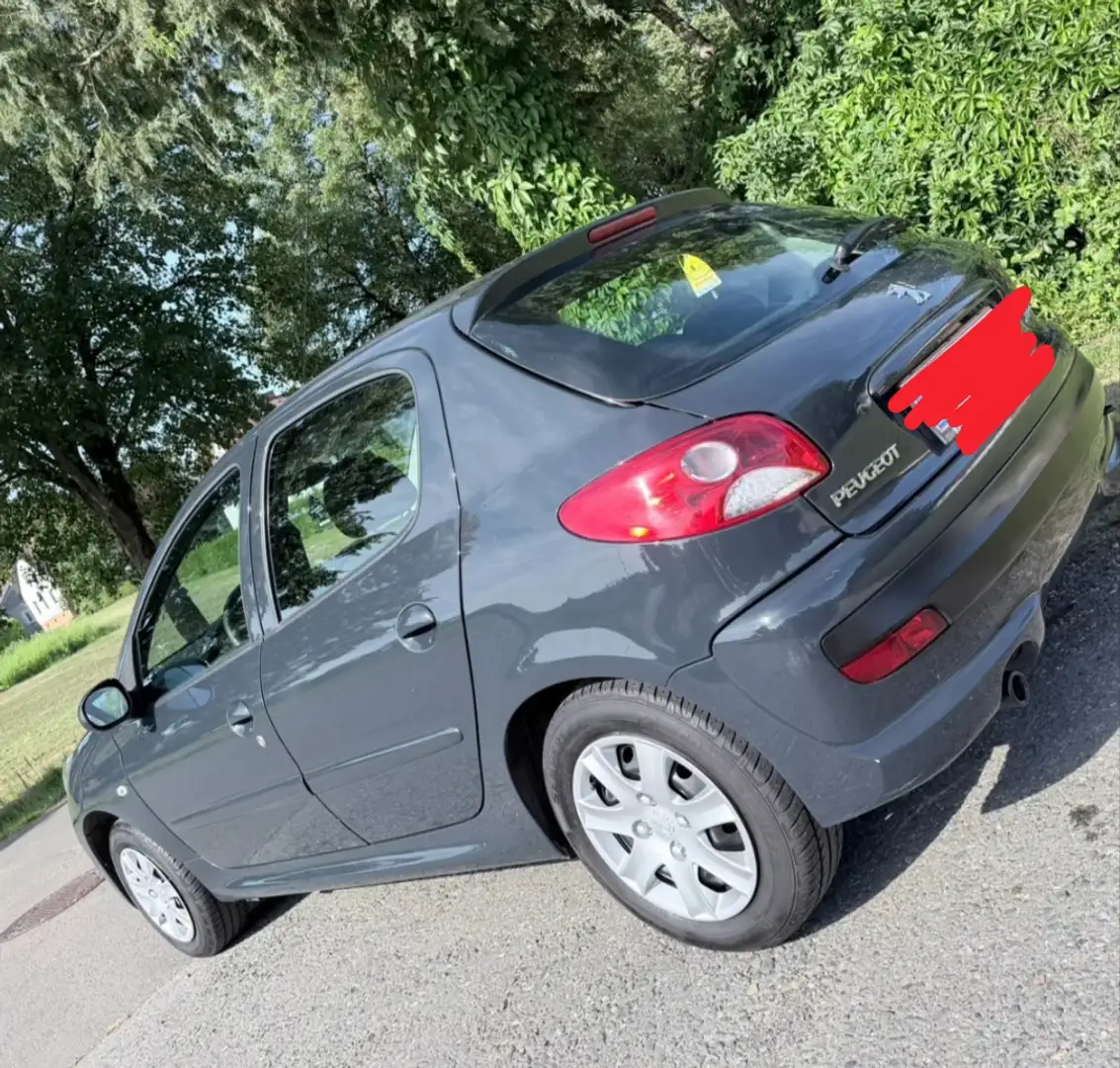 Peugeot 206 206+ 75 - 1