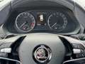 Skoda Octavia 4x4 Ambition TDI DSG Silber - thumbnail 13
