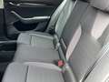 Skoda Octavia 4x4 Ambition TDI DSG Silber - thumbnail 14