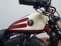 Harley-Davidson Sportster XL 883 xl 883 c - thumbnail 5