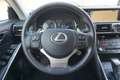 Lexus IS 300 300h Hybrid Dealer-onderhouden|Premium-Navigatie|S Schwarz - thumbnail 24