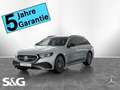 Mercedes-Benz E 300 de AMG+SUPERSCREEN+AHK+Pano+Burmester+HUD Silber - thumbnail 1
