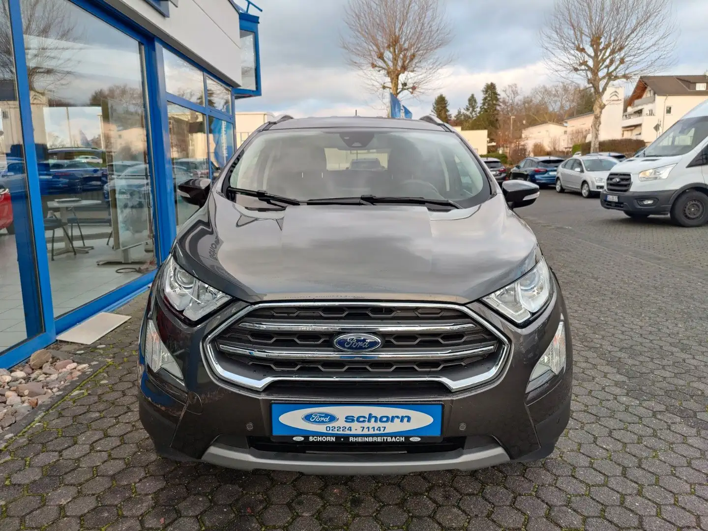 Ford EcoSport Titanium Grau - 2