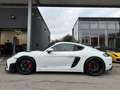 Porsche Cayman 718 Cayman GT4 RS PDK / Clubsport Paket / Approved Weiß - thumbnail 7