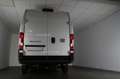 Fiat Ducato S2 Maxi35 L4H2 KaWa *KLIMA.LED-SW.RFK* Blanco - thumbnail 4
