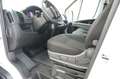 Fiat Ducato S2 Maxi35 L4H2 KaWa *KLIMA.LED-SW.RFK* Blanco - thumbnail 9
