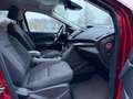 Ford Kuga Trend AHK°SITZH°KLIMA°MFLR°TEMPOM°PDC Rouge - thumbnail 10