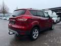 Ford Kuga Trend AHK°SITZH°KLIMA°MFLR°TEMPOM°PDC Rouge - thumbnail 7