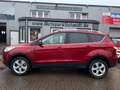 Ford Kuga Trend AHK°SITZH°KLIMA°MFLR°TEMPOM°PDC Rouge - thumbnail 4