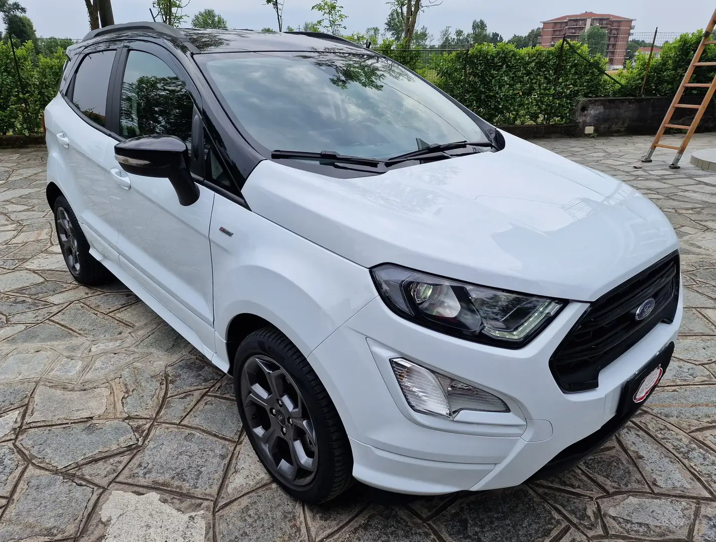 Ford EcoSport 1.0 ecoboost ST-Line Design 125cv Weiß - 2