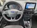 Ford EcoSport 1.0 ecoboost ST-Line Design 125cv Weiß - thumbnail 8