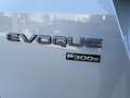Land Rover Range Rover Evoque Range Rover Evoque PHEV P309 AWD R-Dyn. SE Aut. Silber - thumbnail 5