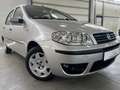 Fiat Punto 1.2 8V Dynamic AUTOMATIK KLIMA PDC HU/AU NEU Grau - thumbnail 1