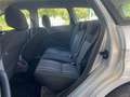 Ford Focus Turnier Style  TÜV NEU Anhängerkupplung Silber - thumbnail 12
