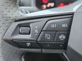 SEAT Ibiza FR Edition 1.0 TSI 95PS Grau - thumbnail 12