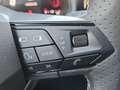 SEAT Ibiza FR Edition 1.0 TSI 95PS Grau - thumbnail 14