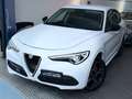 Alfa Romeo Stelvio 2.2 Turbodiesel 190 CV AT8 Q4 Super Bianco - thumbnail 3