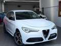 Alfa Romeo Stelvio 2.2 Turbodiesel 190 CV AT8 Q4 Super Bianco - thumbnail 1