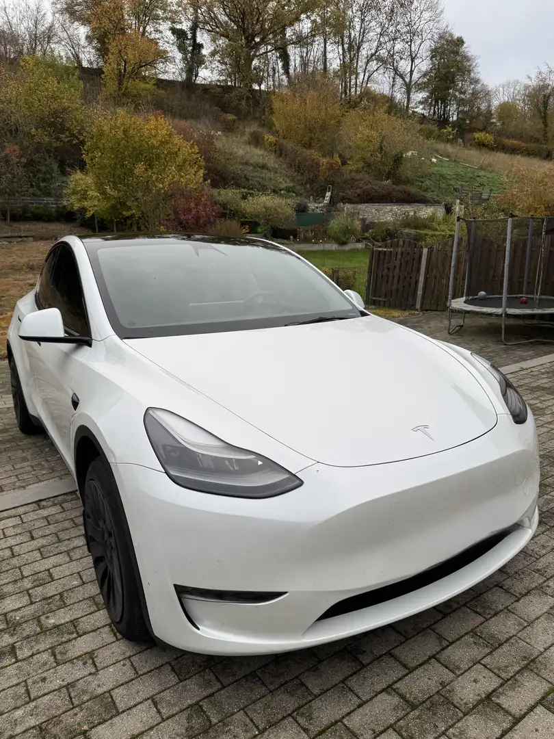 Tesla Model Y Long Range Dual Motor AWD Blanc - 2