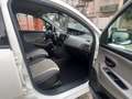 Lancia Ypsilon Ypsilon 1.2 Platinum 69cv my16 Bianco - thumbnail 9