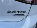 Volkswagen Golf Highline BMT TDI DSG Weiß - thumbnail 20
