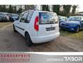 Skoda Roomster 1.2 TDI Active Plus Edition Klima el.FH Weiß - thumbnail 4