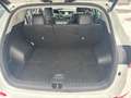 Hyundai TUCSON Premium 4WD Weiß - thumbnail 13