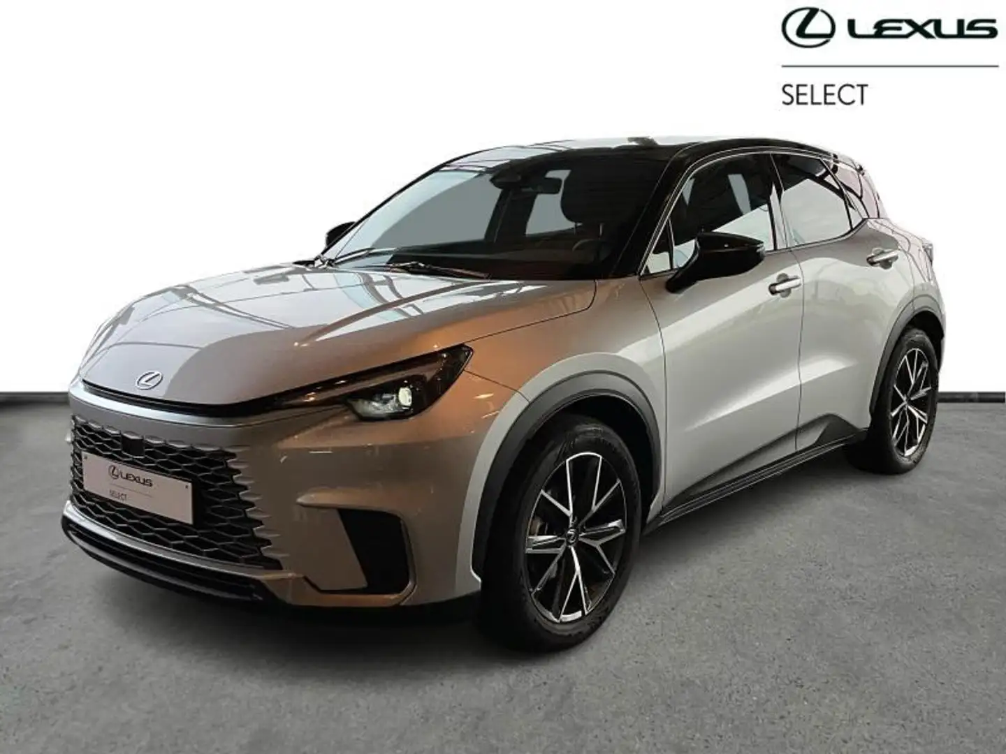 Lexus LBX COOL Zilver - 1