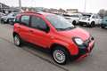 Fiat Panda 4x2 FireFly Hybrid 70 City Cross Rot - thumbnail 2
