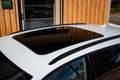 Audi RS4 RS4 Avant V6 2.9 TFSI 450 ch Tiptronic 8 Bianco - thumbnail 12