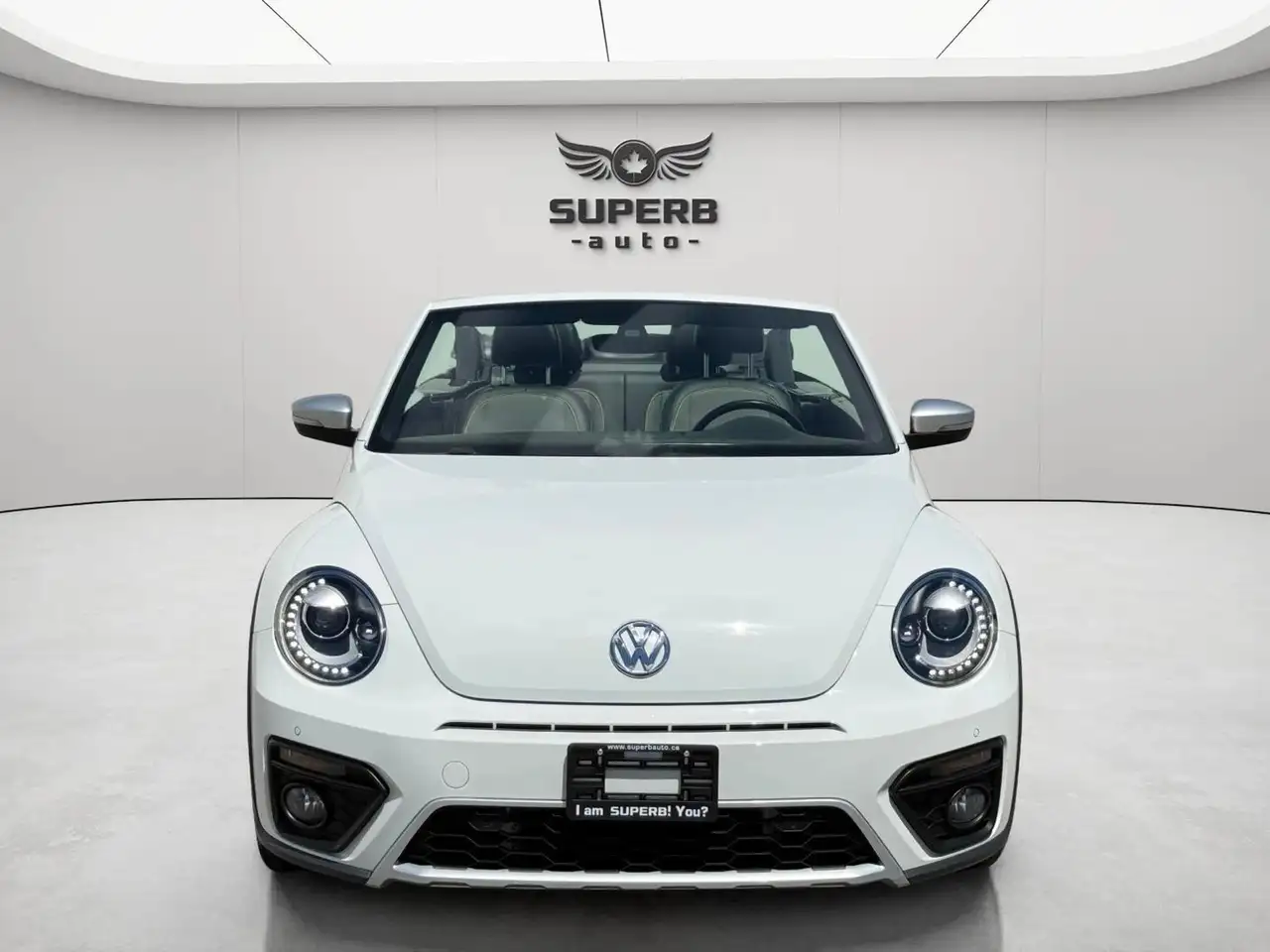 Volkswagen Beetle photo Volkswagen Beetle