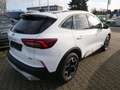 Ford Kuga Hybrid Active X LED ACC TWA AGR neues Model Blanc - thumbnail 4