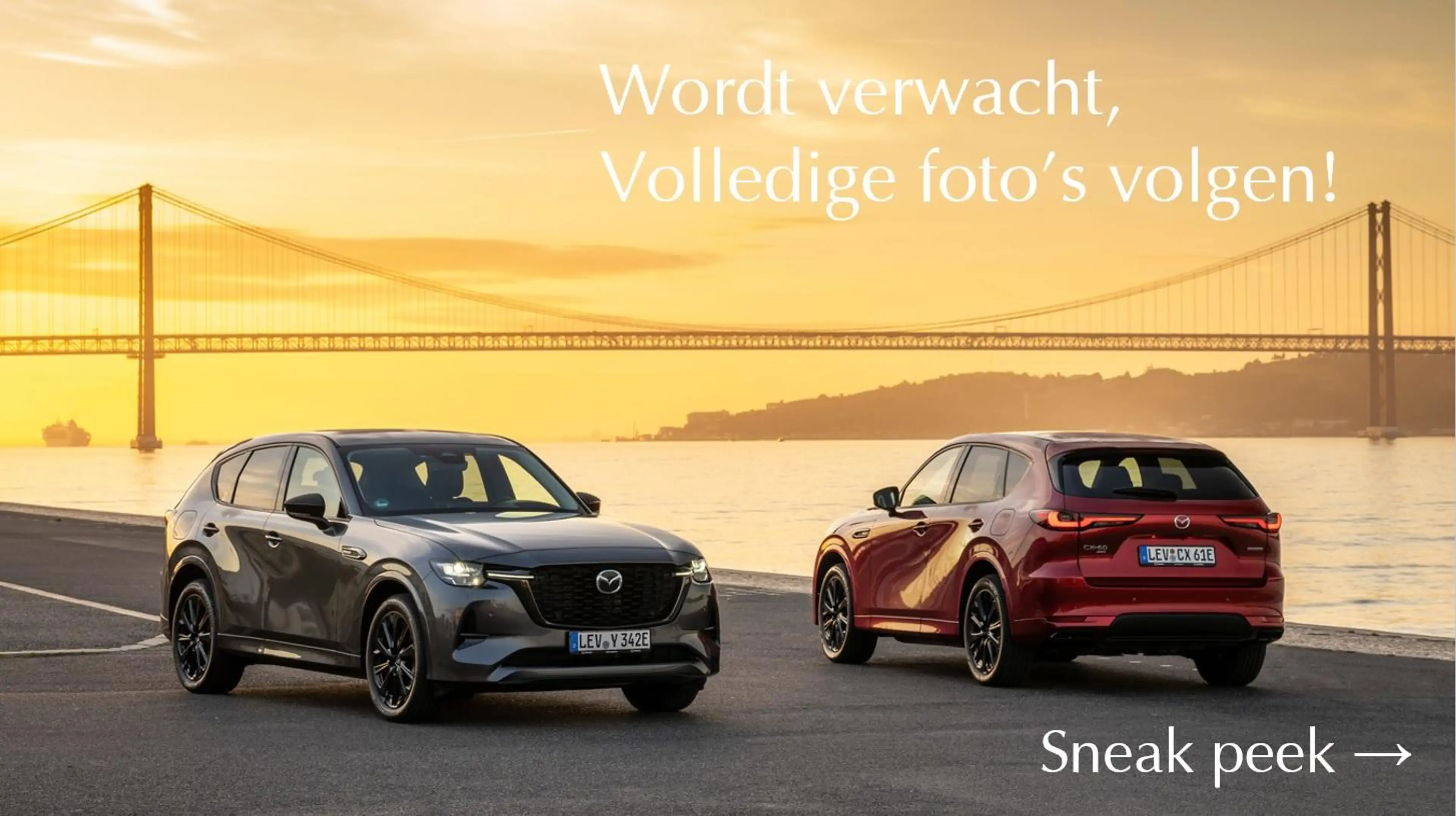 Toyota RAV 4 2.5 Hybrid Bi-Tone Zeer weinig kilometers, complet — photo 9