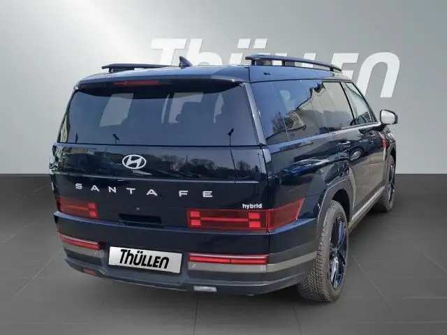 Hyundai Santa Fe view 5