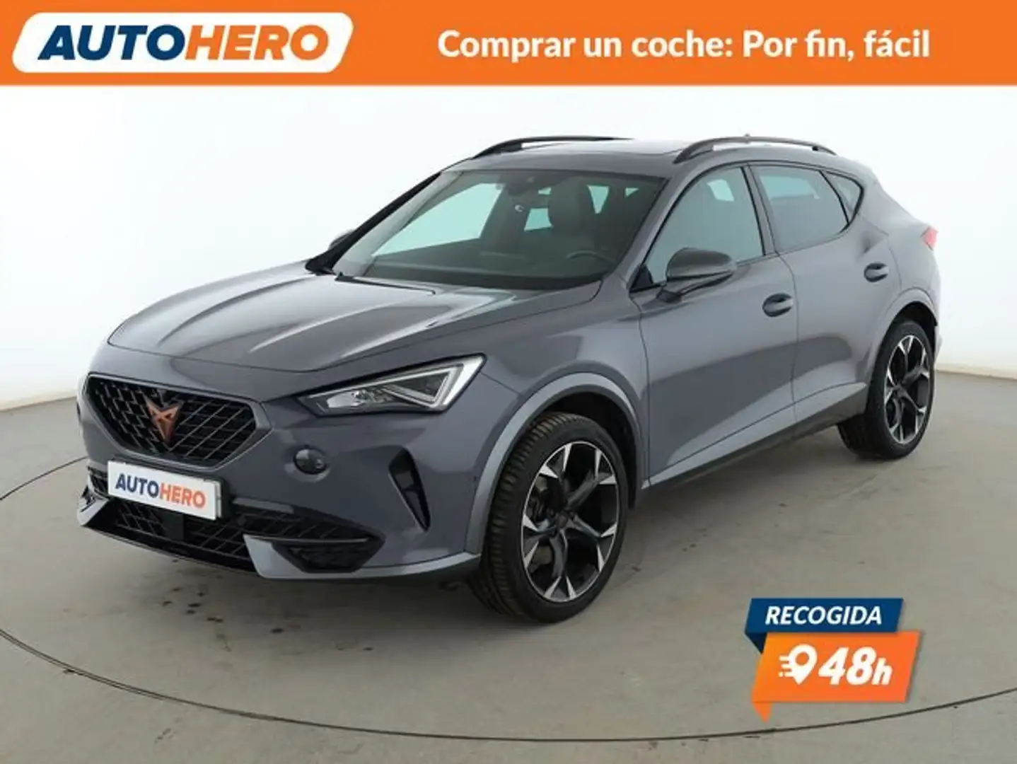 CUPRA Formentor 2.0 TSI 4Drive Gris - 1