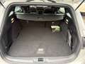 Ford Focus SW 1.0t ecoboost h ST-Line 125cv PROMO FIN Grau - thumbnail 14