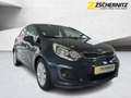 Kia Rio 1.2 FIFA World Cup Edition SHZ+KlimaA+LM+PDC Blu/Azzurro - thumbnail 5