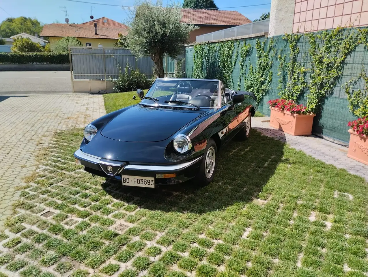 Alfa Romeo Spider 2.0 Quadrifoglio Verde cat., foto 6