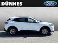 Ford Kuga 2.5 PHEV TITANIUM X Weiß - thumbnail 6