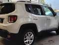 Jeep Renegade 2.0 Mjt Limited 4wd 140cv auto Blanc - thumbnail 7