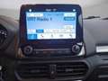 Ford EcoSport Trend - Camera - Carplay - Winterpack - thumbnail 11