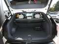 Kia EV3 81,4 kWh GT-Line Navi HeadUp ACC 360° Weiß - thumbnail 6