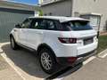 Land Rover Range Rover Evoque Range Rover Evoque Pure 2,2 TD4 Aut. Pure Weiß - thumbnail 2