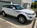 Land Rover Range Rover Evoque Range Rover Evoque Pure 2,2 TD4 Aut. Pure Weiß - thumbnail 1