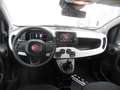 Fiat Panda Pandina Cross 70 Hybrid Schwarz - thumbnail 8