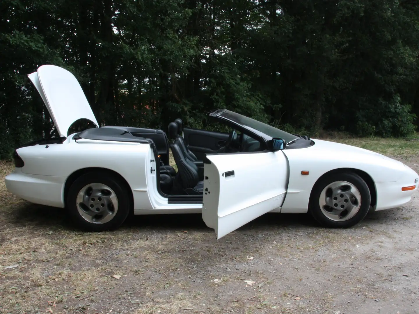 Pontiac Firebird Firebird Blanco - 2