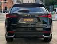 Lexus NX 300h 2.5 300H 197CH HEV 2WD BVA + CAMERA ACC MAINTIEN DE VOIE Noir - thumbnail 3